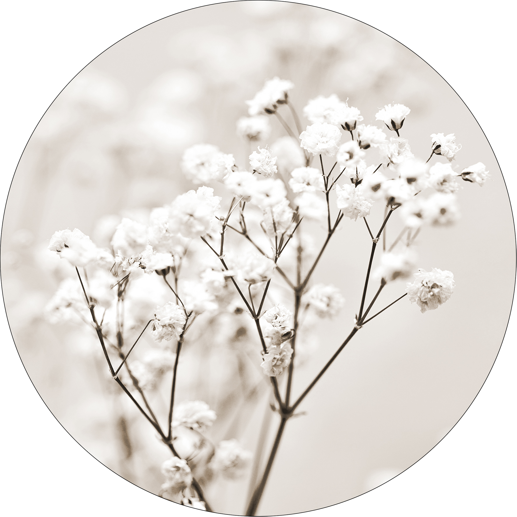 ProArt Glas-Art rund Ø 30cm Meadow Flowers I ProArt Glas-Art rund Ø 30cm Meadow Flowers I