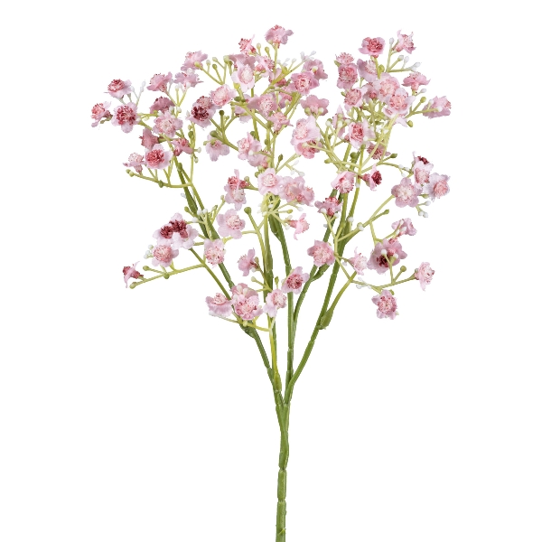 Gypsozweig 48cm rosa in Gypsozweig 48cm rosa in , Blumen, Gipskraut, Trockenblume, Rosenklee, Blütenzweig