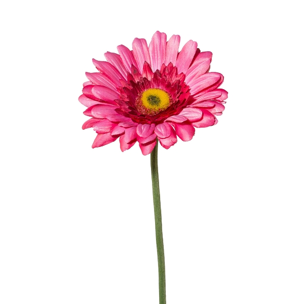 Gerbara 63cm dunkelrosa VARINA in Rosa / Pink, Blumen, Gerbera, Pink, Stiel, Blüte