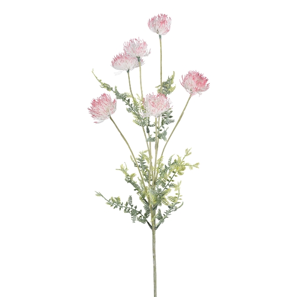 Distelzweig 80cm rosa 3024125-10 in Rosa / Pink, Kunstpflanze, Staude, Lookalike-Blume, Distel, Pinke Pompon