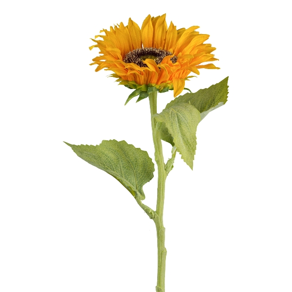 Gasper Sonnenblume, 48 cm, gelb in Farbe Gelb, Sonnenblume, Blume, Stielblume, Gelb, Pflanze