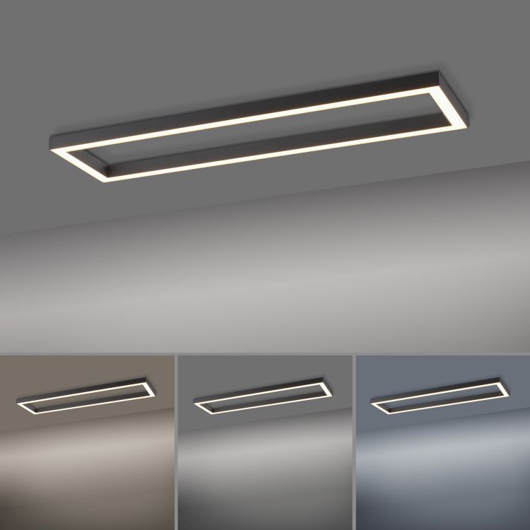 Paul Neuhaus LED-Deckenleuchte PURE LINES SQUARE 1-flammig in Farbe anthrazit Paul Neuhaus LED-Deckenleuchte PURE LINES SQUARE 1-flammig in Farbe anthrazit, Deckenleuchte