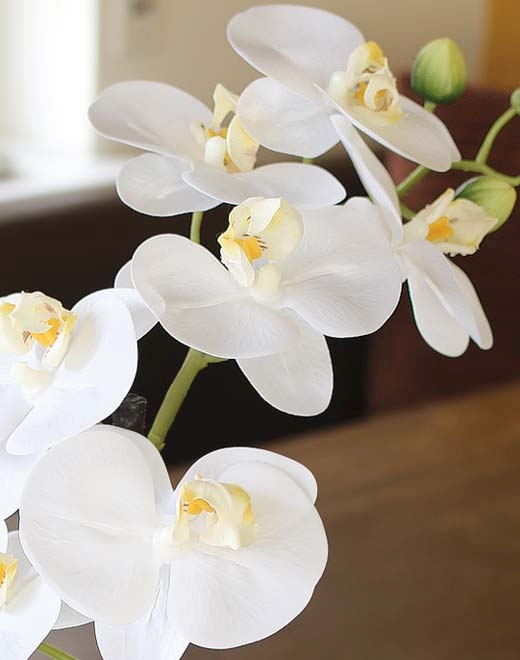  // Orchidee Phalaenopsis, getopft // Real Touch Soft, creme-weiß // Höhe ca. 45 cm