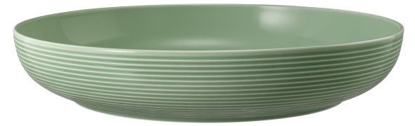 Seltmann Weiden Foodbowl 28 cm Beat 3 Salbeigrün Seltmann Weiden Foodbowl 28 cm Beat 3 Salbeigrün