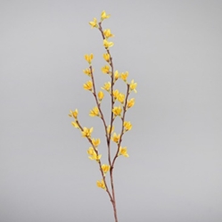 DPI Forsythie in Farbe yellow, Knospe, Blume, Pflanze, Blütenblatt, Blumen-Arrangement