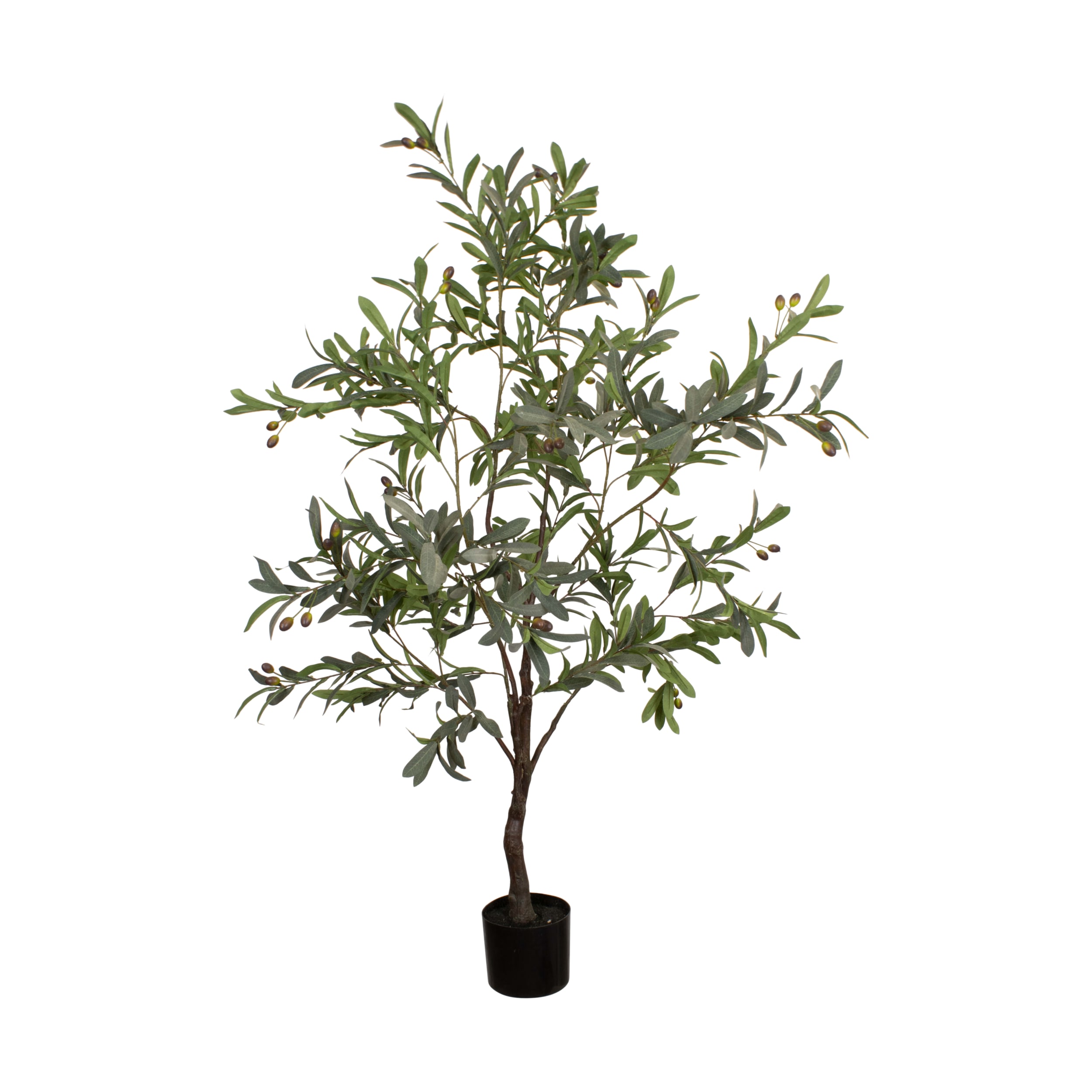 Dijk Natural Collections Pflanze in Farbe grün Dijk Natural Collections Pflanze in Farbe grün, Pflanze, Baum, Topfpflanze, Blatt, Blumen-Arrangement