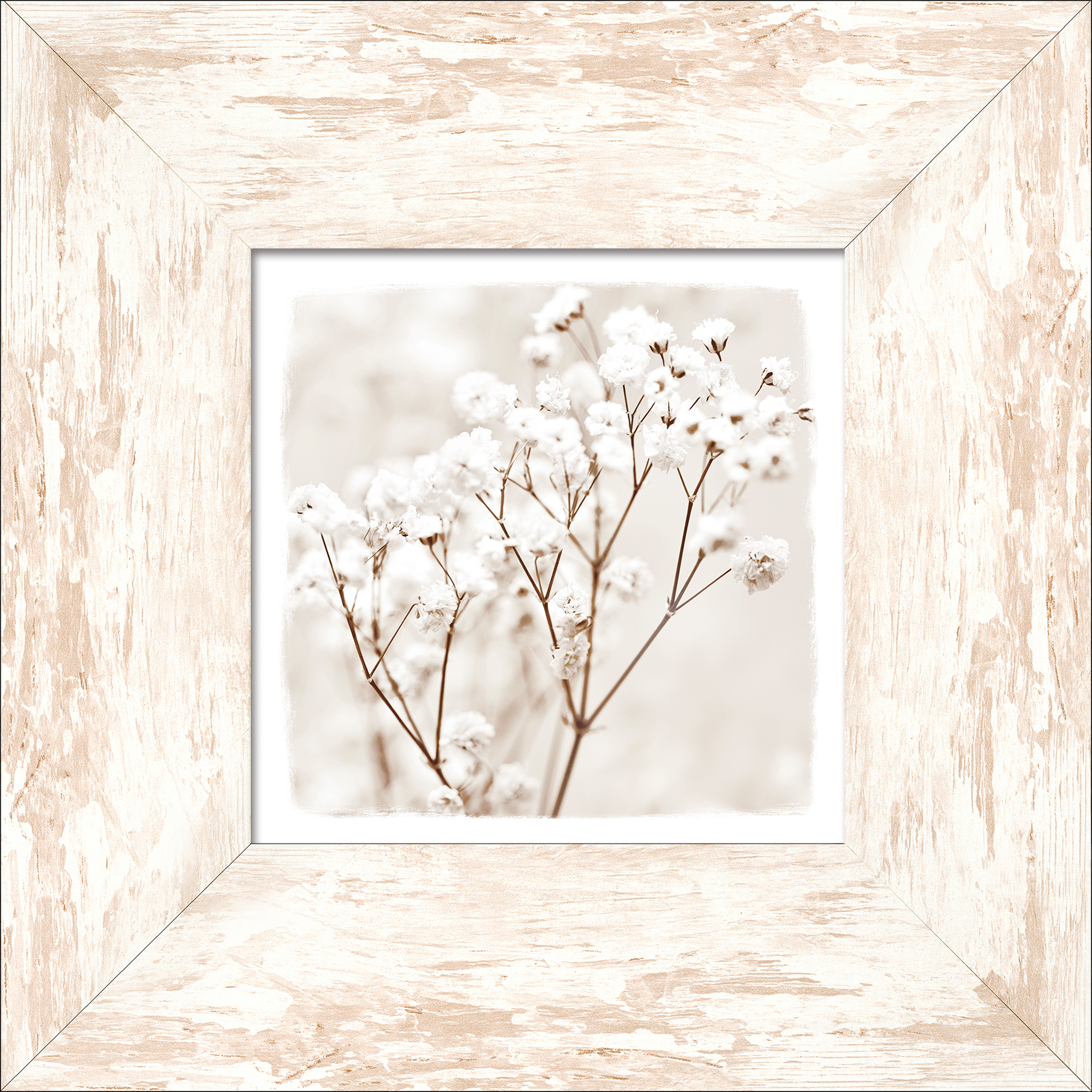 ProArt New Classic Wood 34x34cm Dried fiber in the wind III