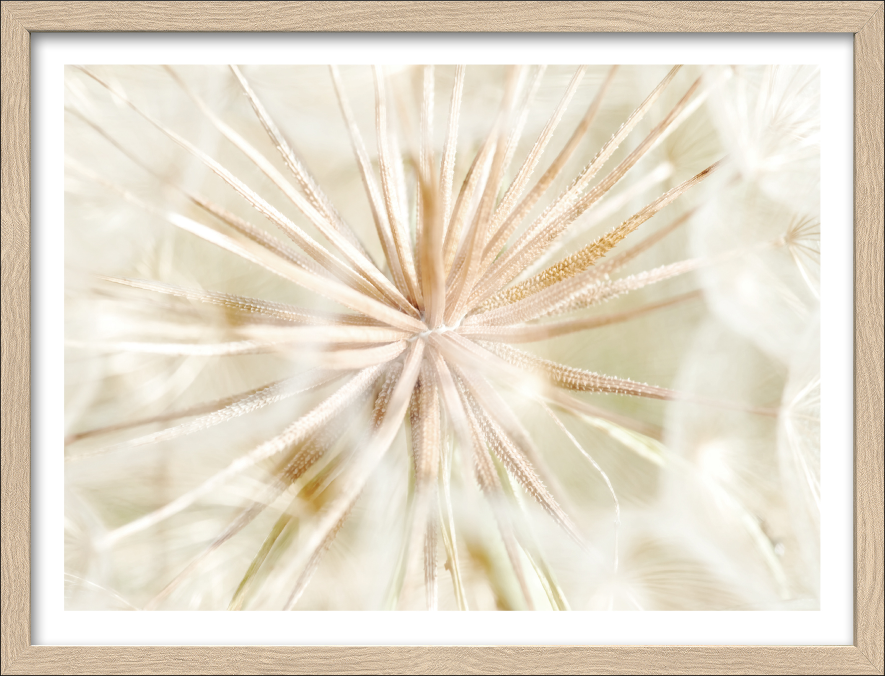 ProArt Framed-Art Slim Scandic 43x33cm Dandelion I