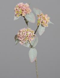 DPI Virburnum 62 cm 43705 in mit 3 Blütenköpfen DPI Virburnum 62 cm 43705 in mit 3 Blütenköpfen