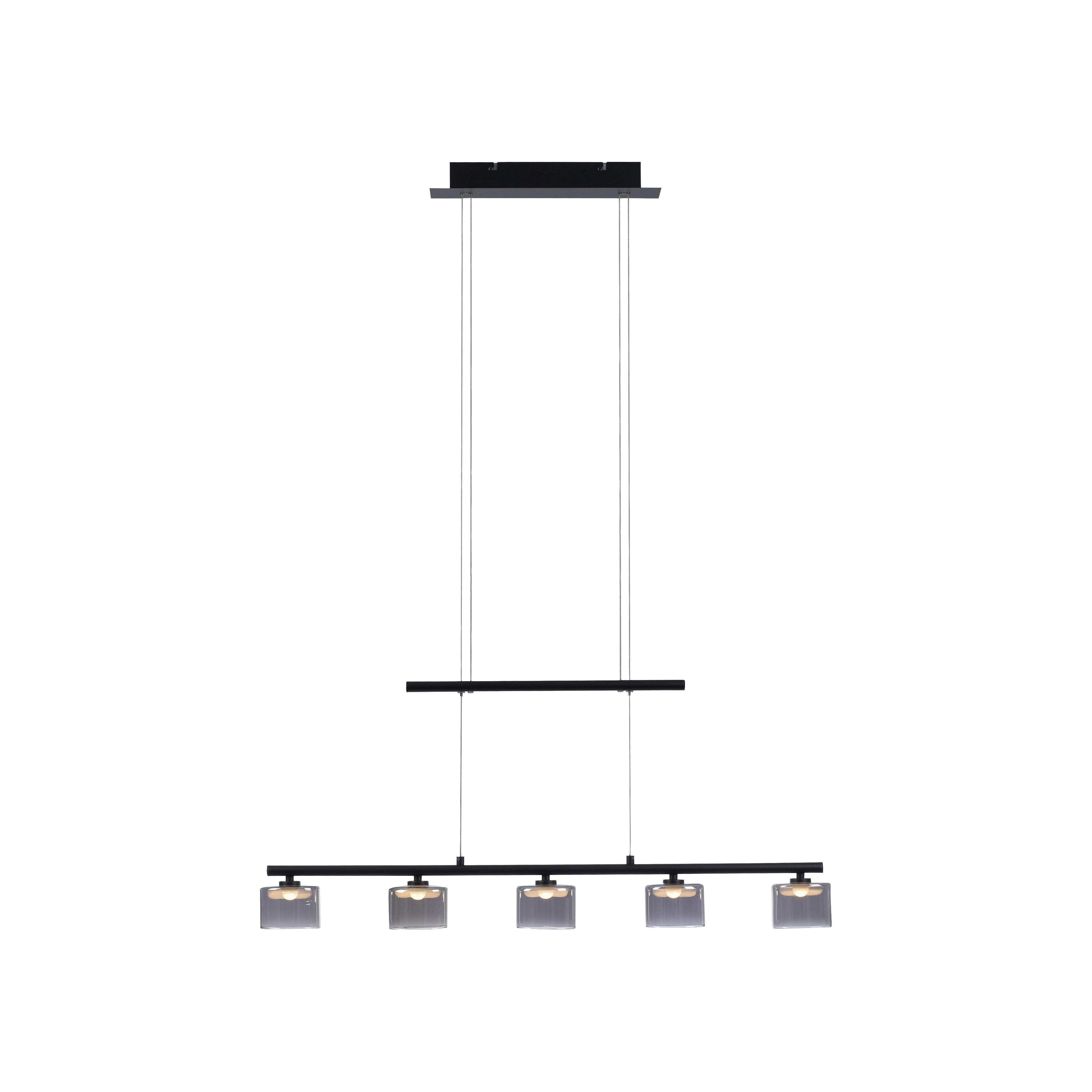 Paul Neuhaus LED-Pendelleuchte Hydra in Schwarz