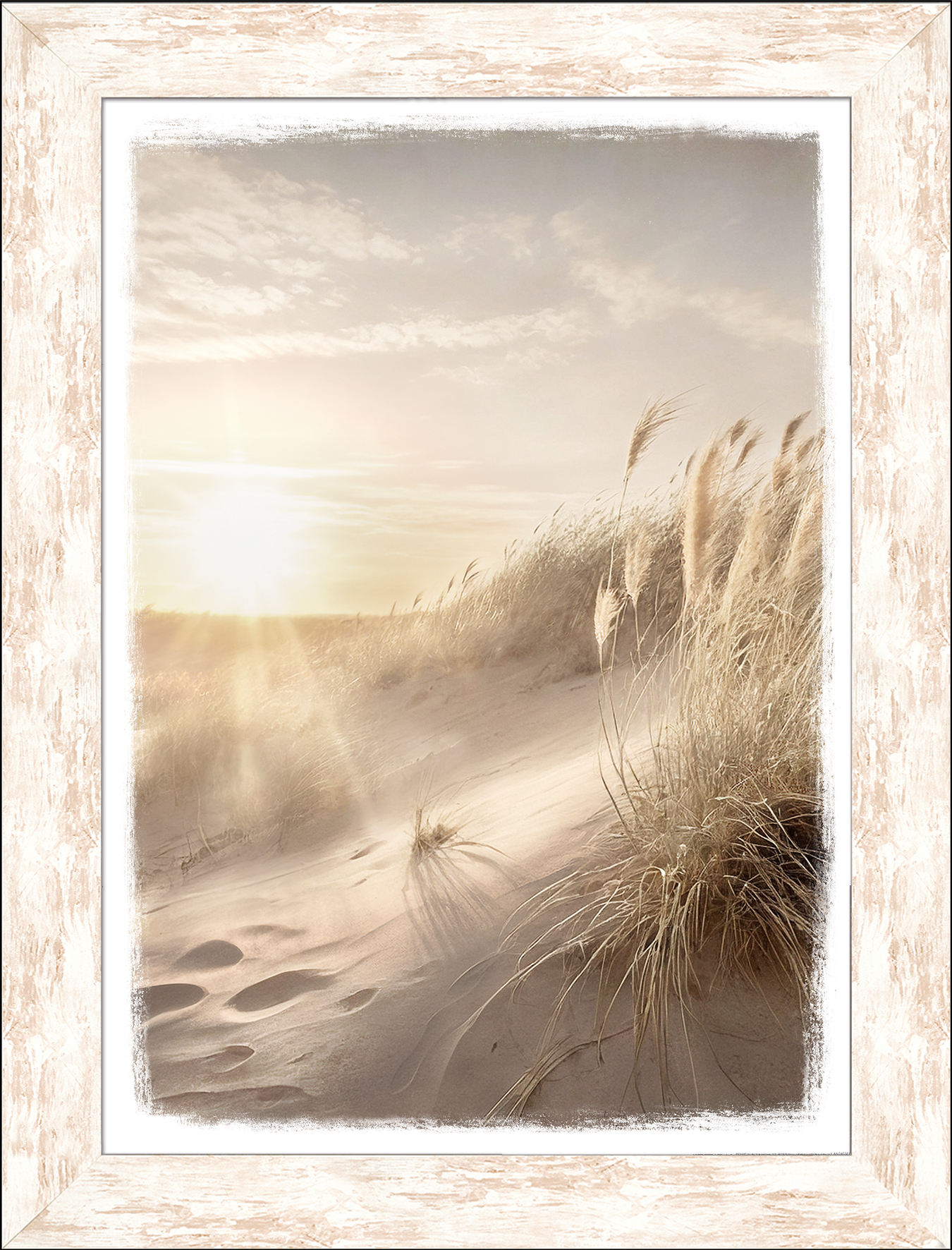 PRO ART New Classic Wood 84x64cm Dune Grass At Sunrise