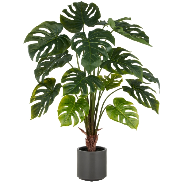 Kunstpflanze 1925610-50 in Grün, monstera, pflanze, zimmerpflanze, eimerpflanze, grünesblatt
