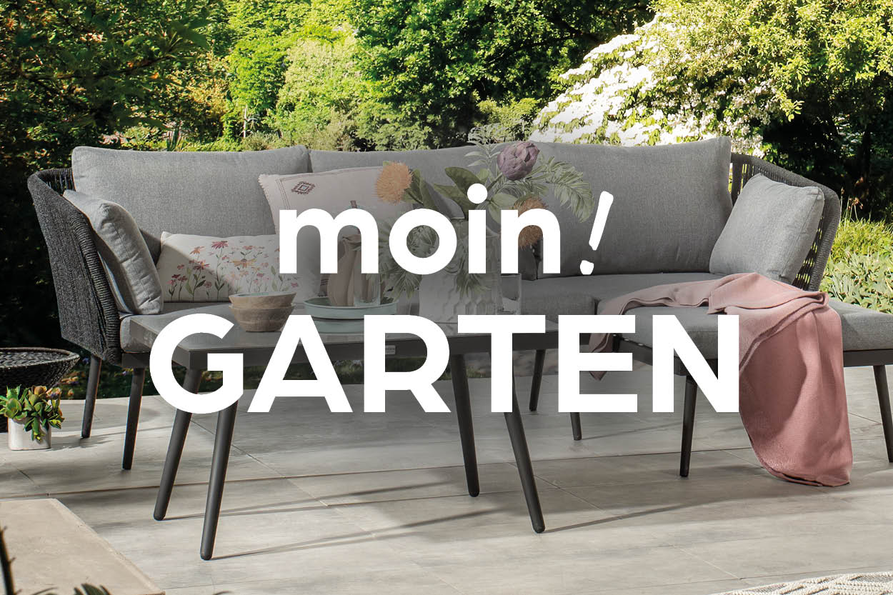 Couch, Kissen, Dekoration für Zuhause, Tabelle, Esstisch