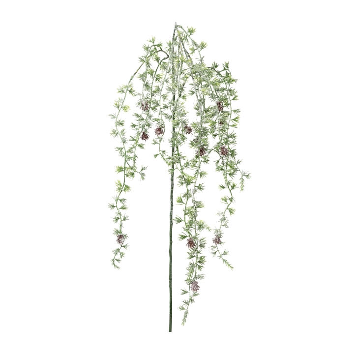 Cedernhängezweig 132cm in Grün, zweig, weide, zweige, pflanze, zweig mit samenkapseln