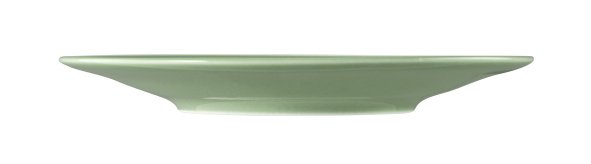 Seltmann Weiden Kombi-Untertasse groß 16,5 cm Beat 3 Salbeigrün