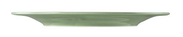 Seltmann Weiden Frühstücksteller rund 23 cm Beat 3 Salbeigrün 