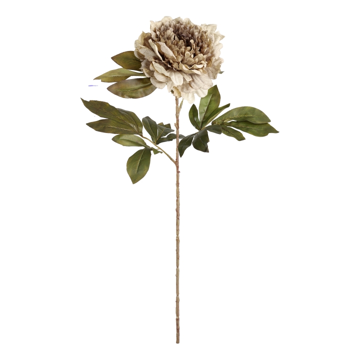 Eglo Living Kunstblume Pfingstrose SEMPORNA in Fb. braun Eglo Living Kunstblume Pfingstrose SEMPORNA in Fb. braun, Blatt, Blume, Blumen-Arrangement, Dahlie, Topfpflanze
