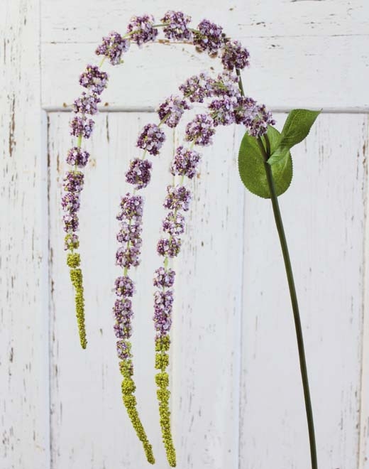  // Amaranthus Zweig // violett-grün // Höhe ca. 70 cm // Länge ca. 105 cm