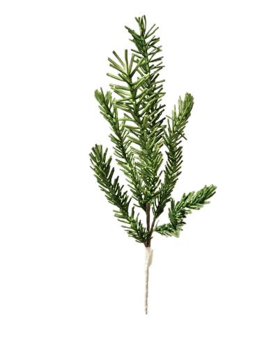 Rosmarin, 90 cm in grün Rosmarin, 90 cm in grün