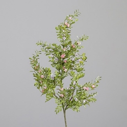 DPI Blütenzweig in Farbe rosee