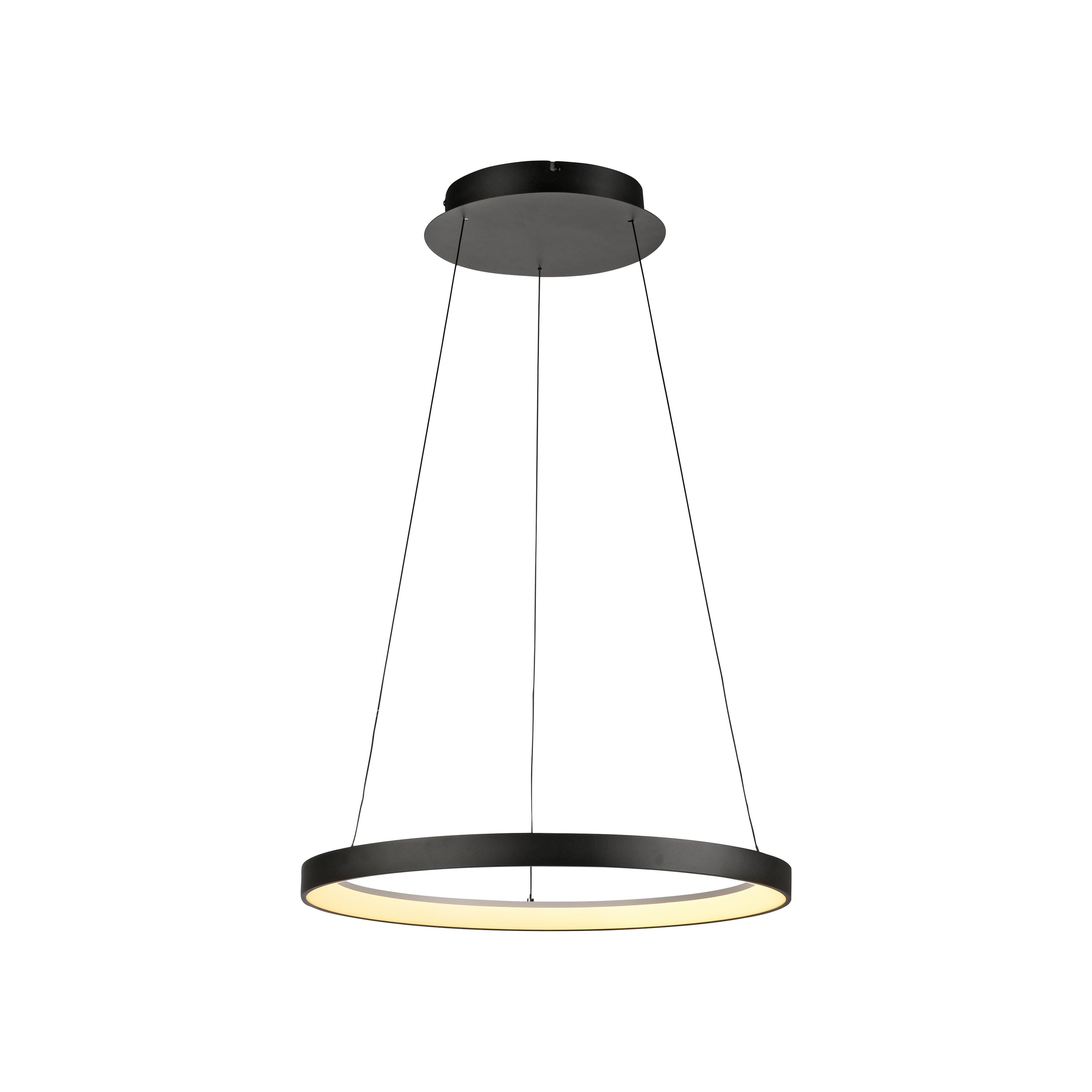Paul Neuhaus LED-Pendelleuchte HOOP 1-flammig in Farbe schwarz, Hängelampe, Ring-Pendelleuchte, LED-Ring, Kreisleuchte, Schwarzmetall
