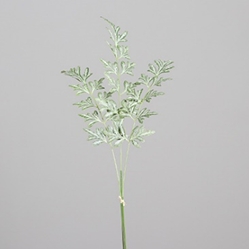 DPI Blattzweig in Farbe grün, Pflanze, Gras