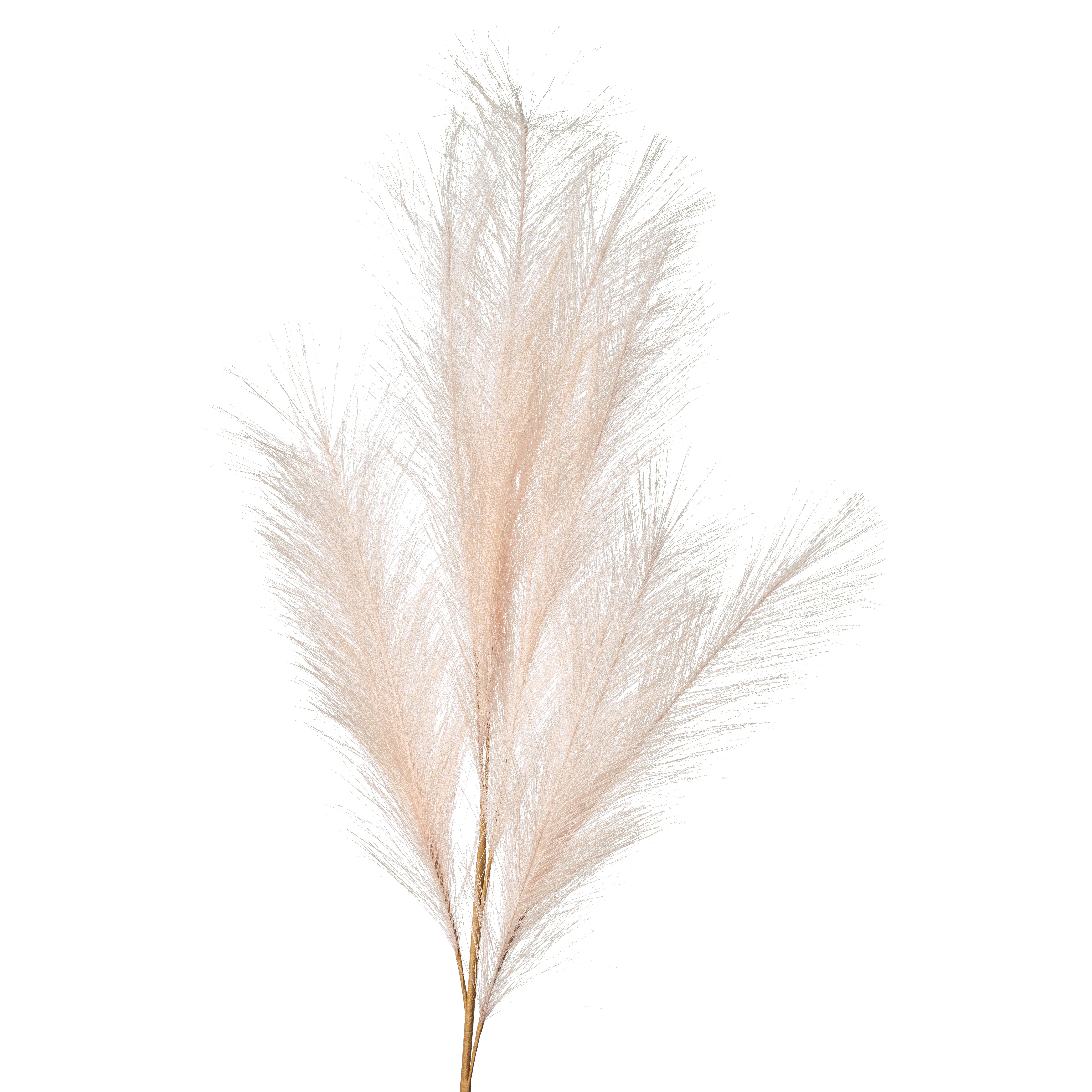 Flower Manufaktur Pampaswedel ca. 110cm in Farbe Hellrosa
