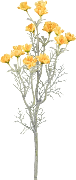 Gasper Margerittenzweig, 55 cm, gelb in Farbe Gelb, Blumenstrauß, Gelbe Blumen, Trockenpflanze, künstliche Pflanze, Ähre