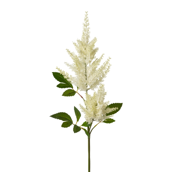 Gasper Astilbenzweig, 84 cm, weiß in Farbe Weiß, Blütenzweig, weiße Blüten, Samtige Blüten, Ast mit Blättern, Zierpflanze