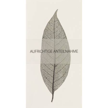 Trauerkarte Blatt in Farbe weiß, Blatt, Pflanzenblatt, Druck, Schwarz-Weiß, Transparente Folie