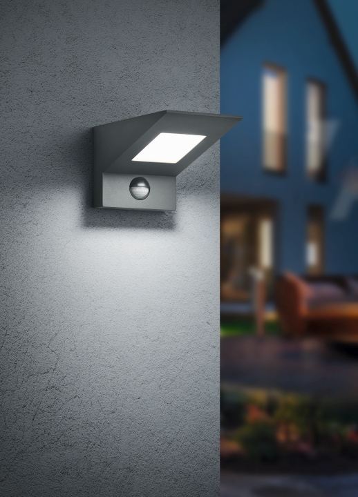 Trio LED-Wandleuchte NELSON in anthrazit, Schirm Kunststoff weiß