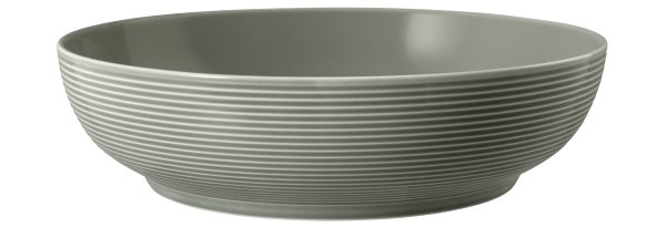 Seltmann Weiden Foodbowl 25 cm Beat 3 Perlgrau 