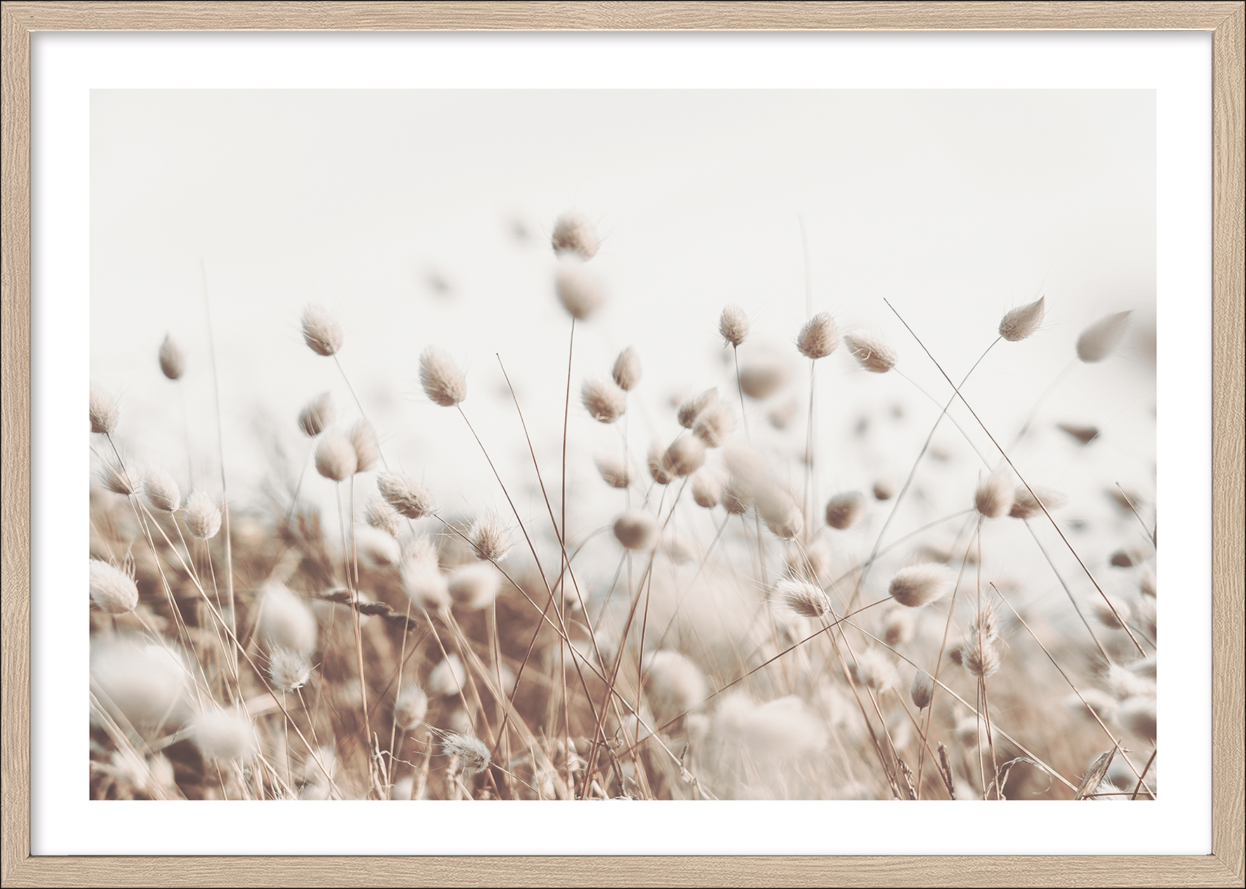 PRO ART Framed-Art Scandic Living 105x75cm Dried Fiber In The Wind II PRO ART Framed-Art Scandic Living 105x75cm Dried Fiber In The Wind II