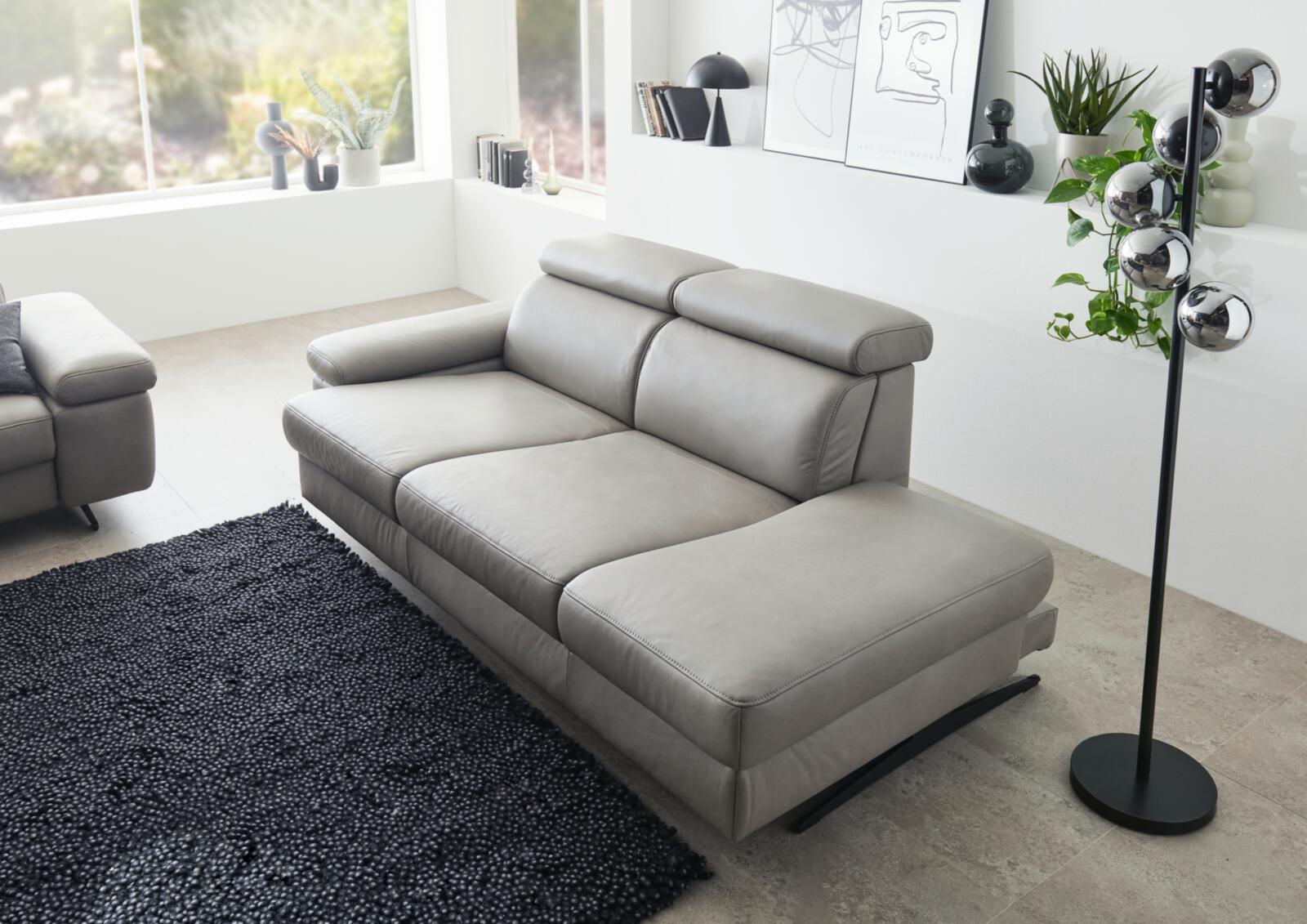 Himolla Sofa 2-sitzig 1183 366 E42 Grau, Sofa, Ledersofa, Grau, Ecksofa, Wohnzimmer