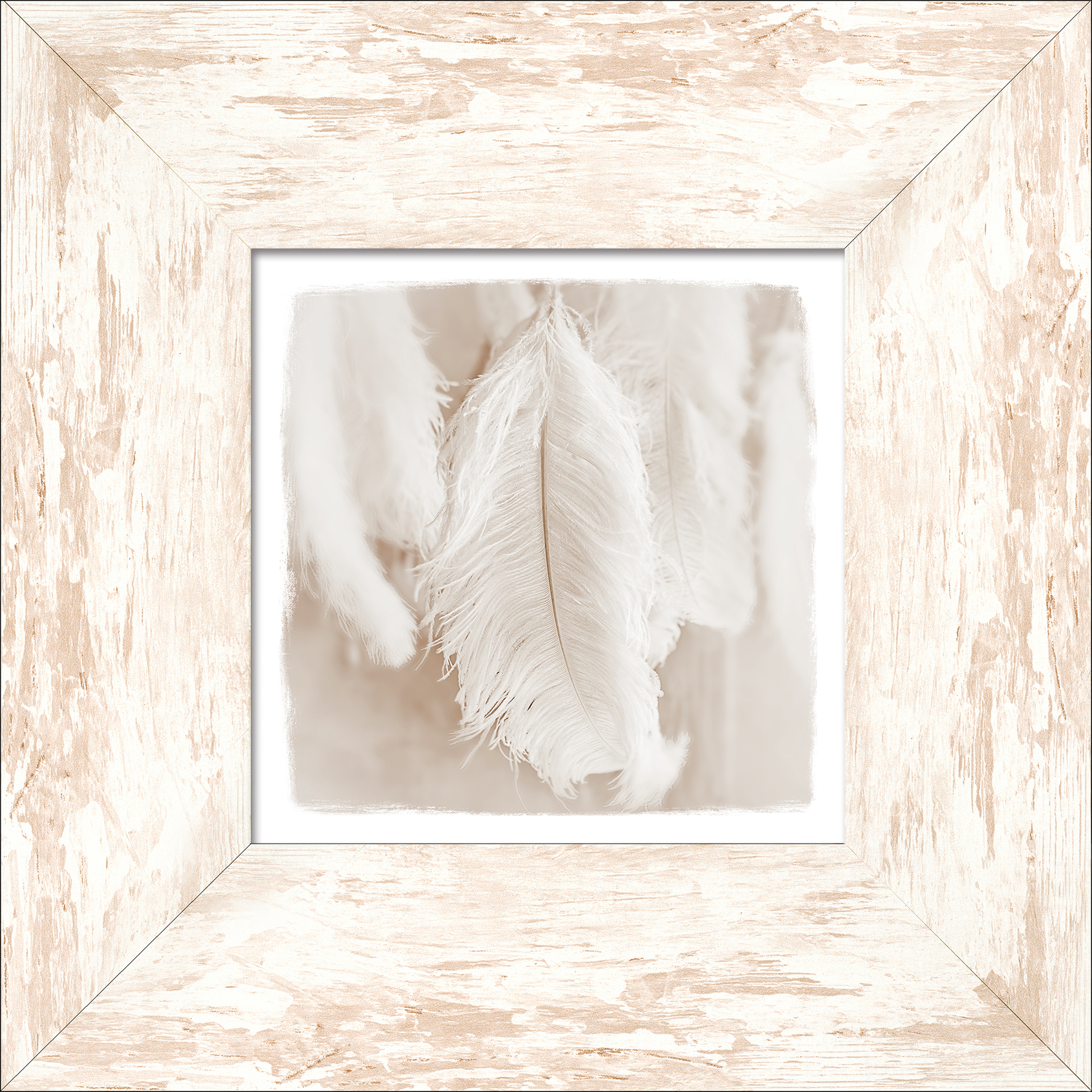 ProArt New Classic Wood 34x34cm The feather II
