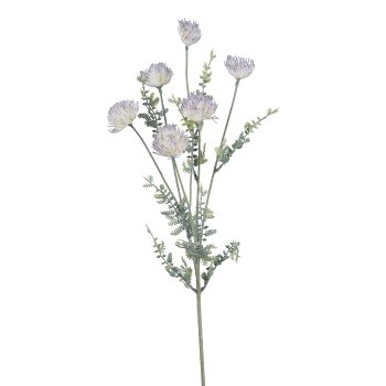 Gasper Distelzweig in Farbe Grau