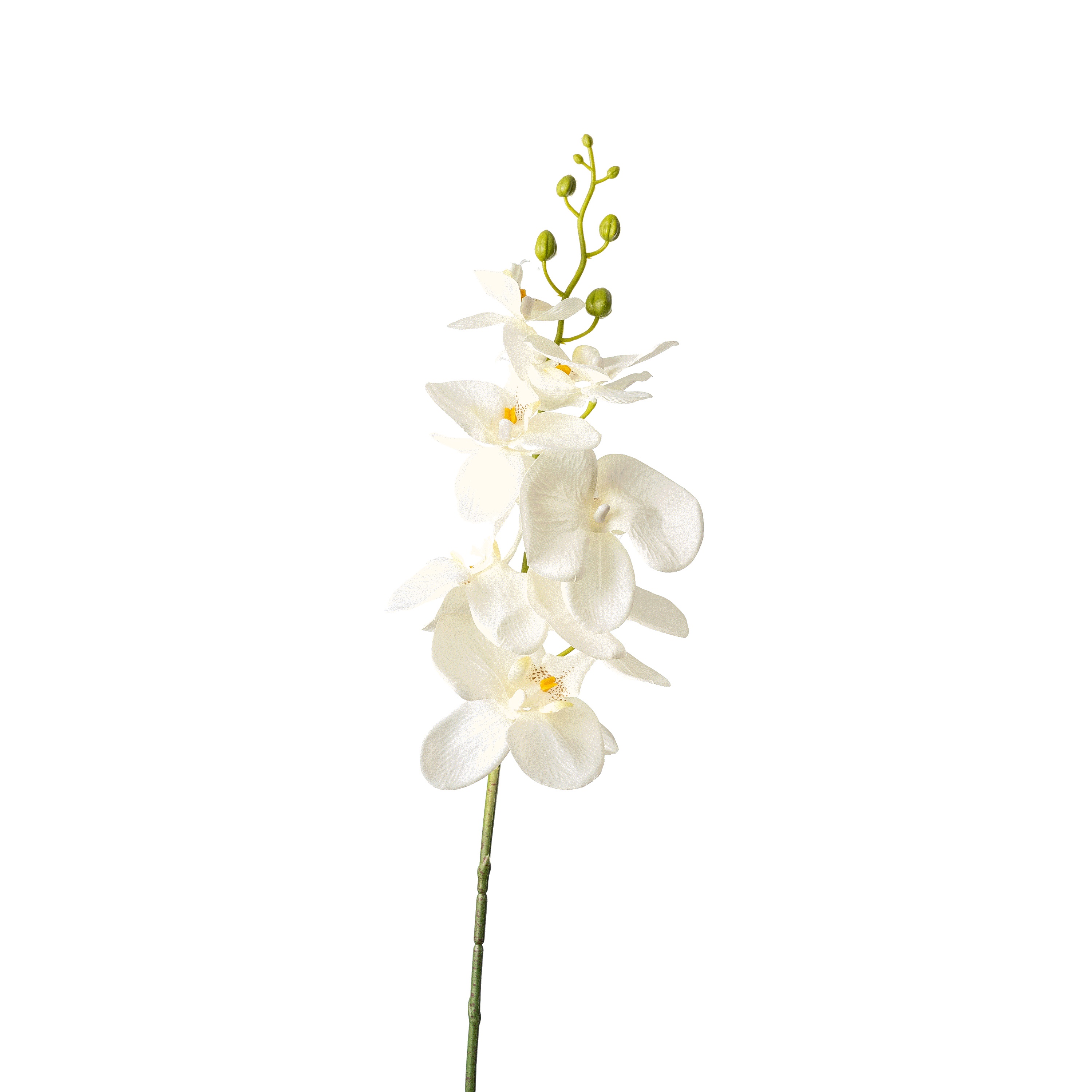 Flower Manufaktur Orchidee Phalaenopsis ca. 86cm in Farbe Creme/Weiß