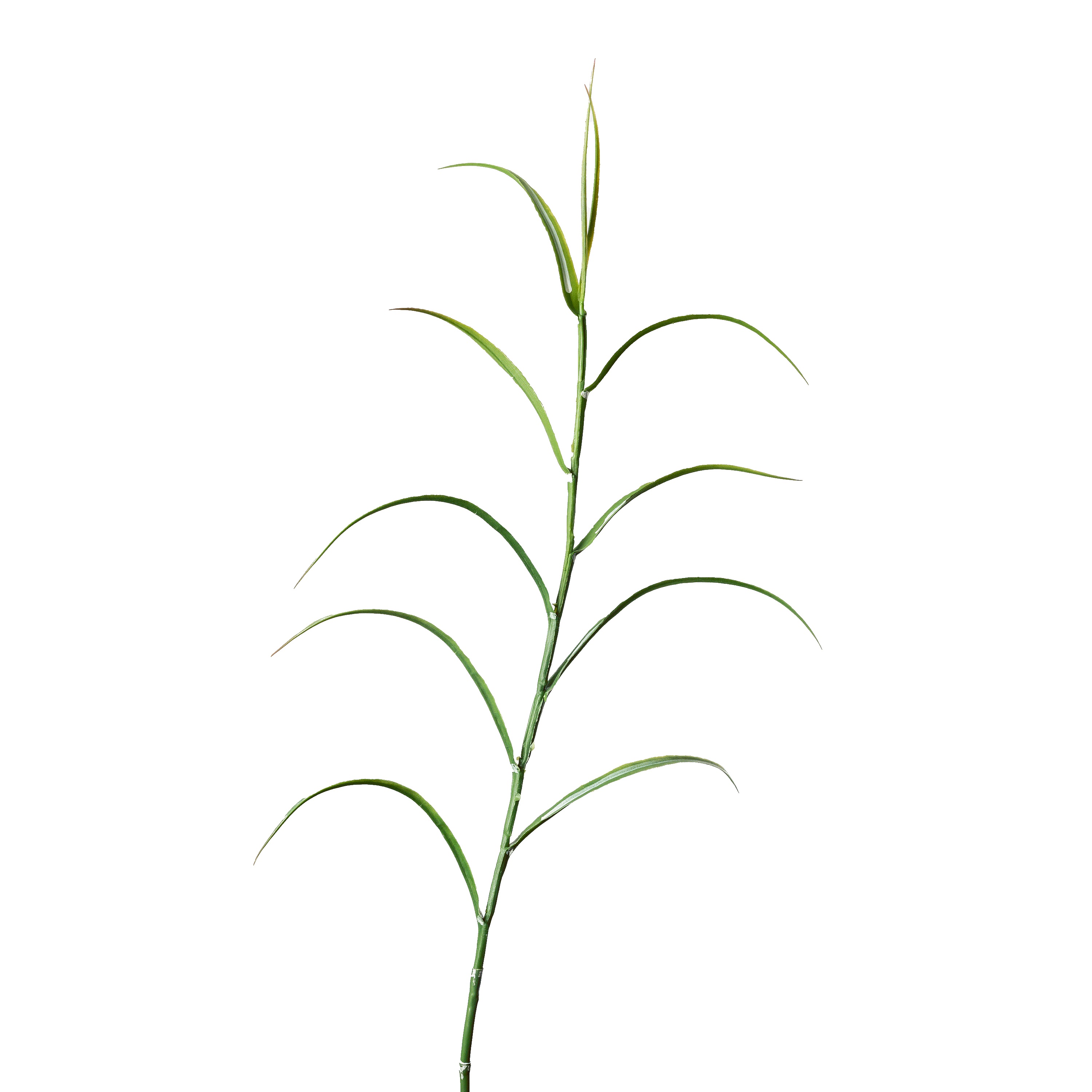 Flower Manufaktur Bambuszweig ca. 90cm in Farbe Grün