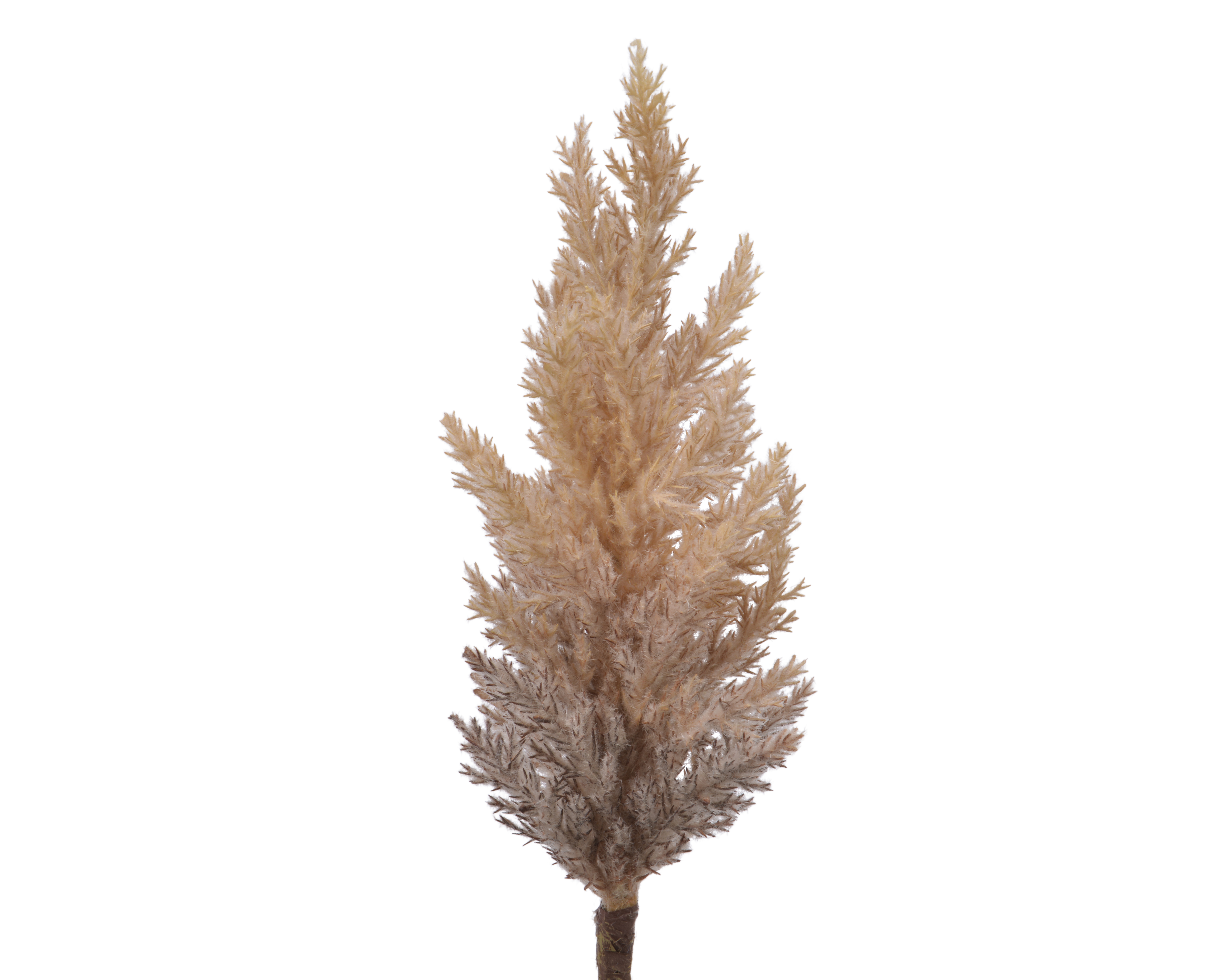 Kaemingk Gras in Farbe Braun