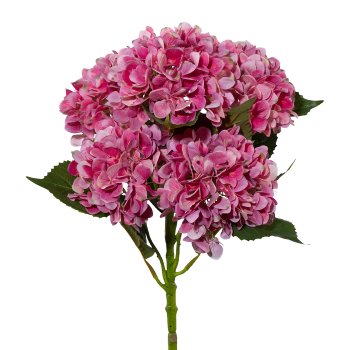 Hortensienstamm x 5 pink 3D 3018084WT-14 in Rosa / Pink Gasper Hortensienstamm x 5 in Farbe Pink