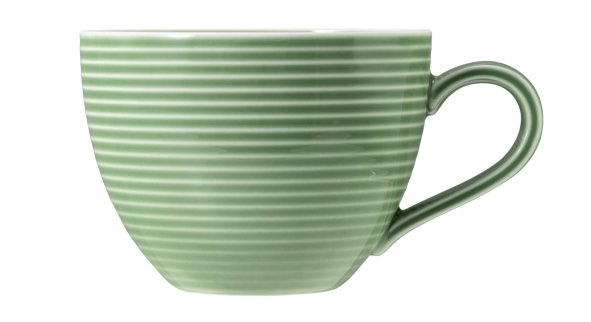 Seltmann Weiden Kaffeeobertasse 0,26 l mit Beat 3 Salbeigrün 