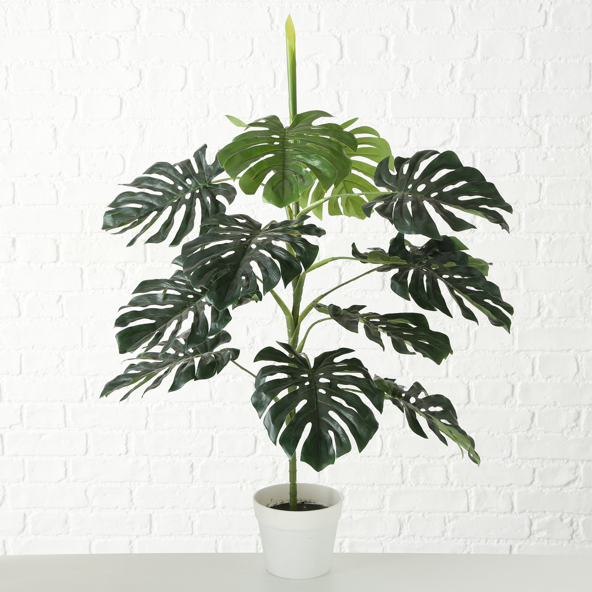 Boltze Topfpflanze Philodendron in B:25cm H:110cm Topfpflanze Philodendron