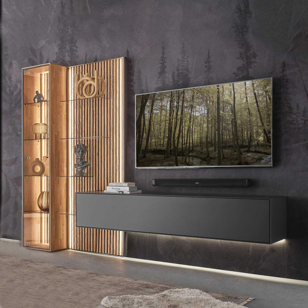 Hartmann Wohnkombination SELINO in Birke massiv anthrazit lack. Hartmann Wohnkombination SELINO in Birke massiv anthrazit lack., TV, Wandhalterung, Regal, Beleuchtung, Wohnzimmer