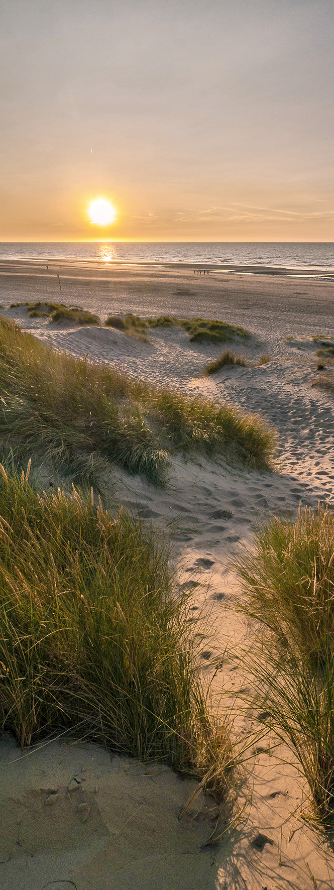ProArt Glas-Art 30x80cm Weg zum Strand II