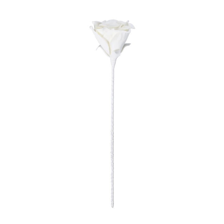 Eglo Kunstpflanze MOLAVE in Farbe weiß, Blume, Pflanze, Rose, Blütenblatt