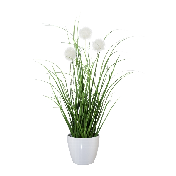 Gasper Grasbusch mit Kletten im Topf ca. H36 cm in 36cm, weiß