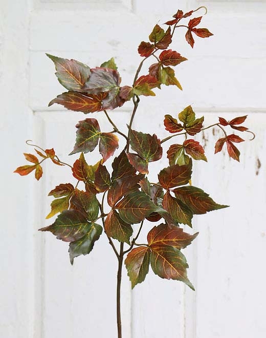 Wilder Wein Zweig 72cm in 