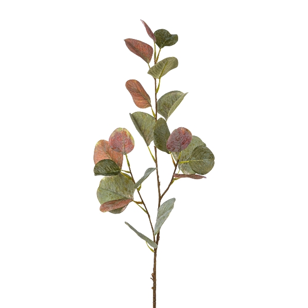 Gasper Eucalypthus 75cm ca.H75 cm in grün-lila