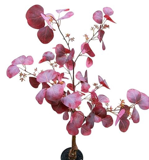 Eukalyptusbusch,90cm,getopft 4062599F2 in antik-dunkelrosa