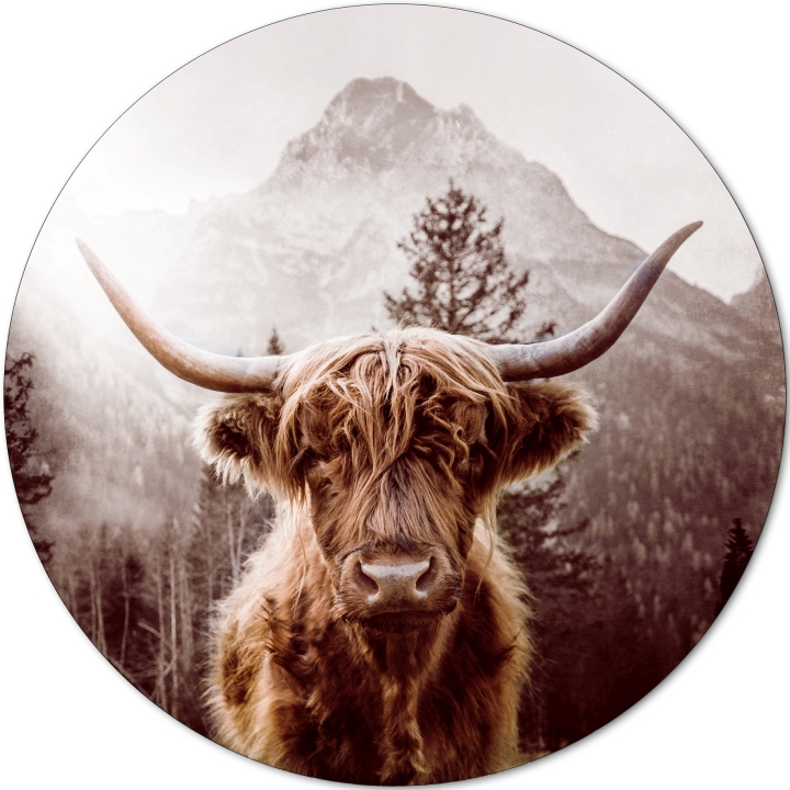 ProArt Alu-Art rund Ø 98cm Scottish Highland Cattle l ProArt Alu-Art rund Ø 98cm Scottish Highland Cattle l
